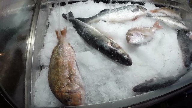 Fresh Raw Mediterranean Sea Fish On Ice Close-Up / Frozen fish in ice at sea food restaurant