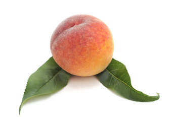 One peach with leaves.
