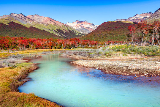 Beautiful landscape of lenga forest, mountains at Tierra del Fuego National Park, Patagonia