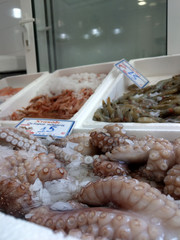 Seafood on sale at the market.