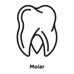 molar icons isolated on white background. Modern and editable molar icon. Simple icon vector illustration.