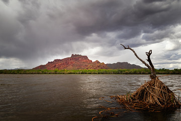 A moody stormy landcape, Red Mountain Arizona in the backdrop