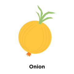 Onion icon vector isolated on white background, Onion sign