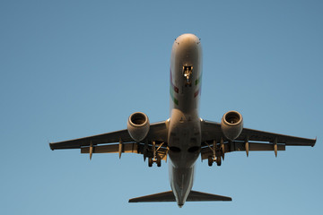 City Airport plane landing in the evening with tourists 