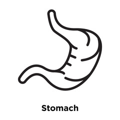stomach icons isolated on white background. Modern and editable stomach icon. Simple icon vector illustration.