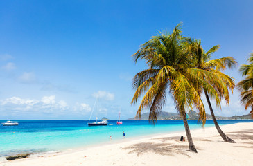 Obraz na płótnie Canvas Idyllic beach at Caribbean