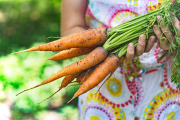 girl in a garden holding a carrot