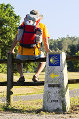 Way of st james pilgrim , english way departing from Ferrol  to Compostela in Perbes village - obrazy, fototapety, plakaty