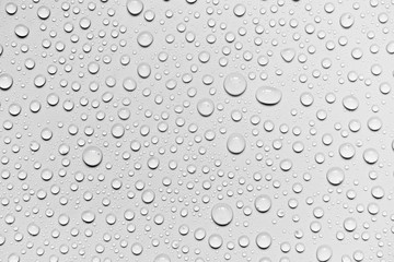 Water drops on white background, for design and advertising