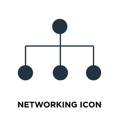 Networking icon vector isolated on white background, Networking sign