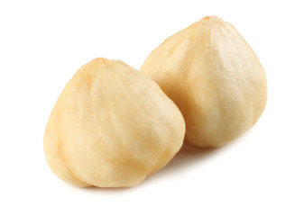 two hazelnuts isolated on a white background. macro