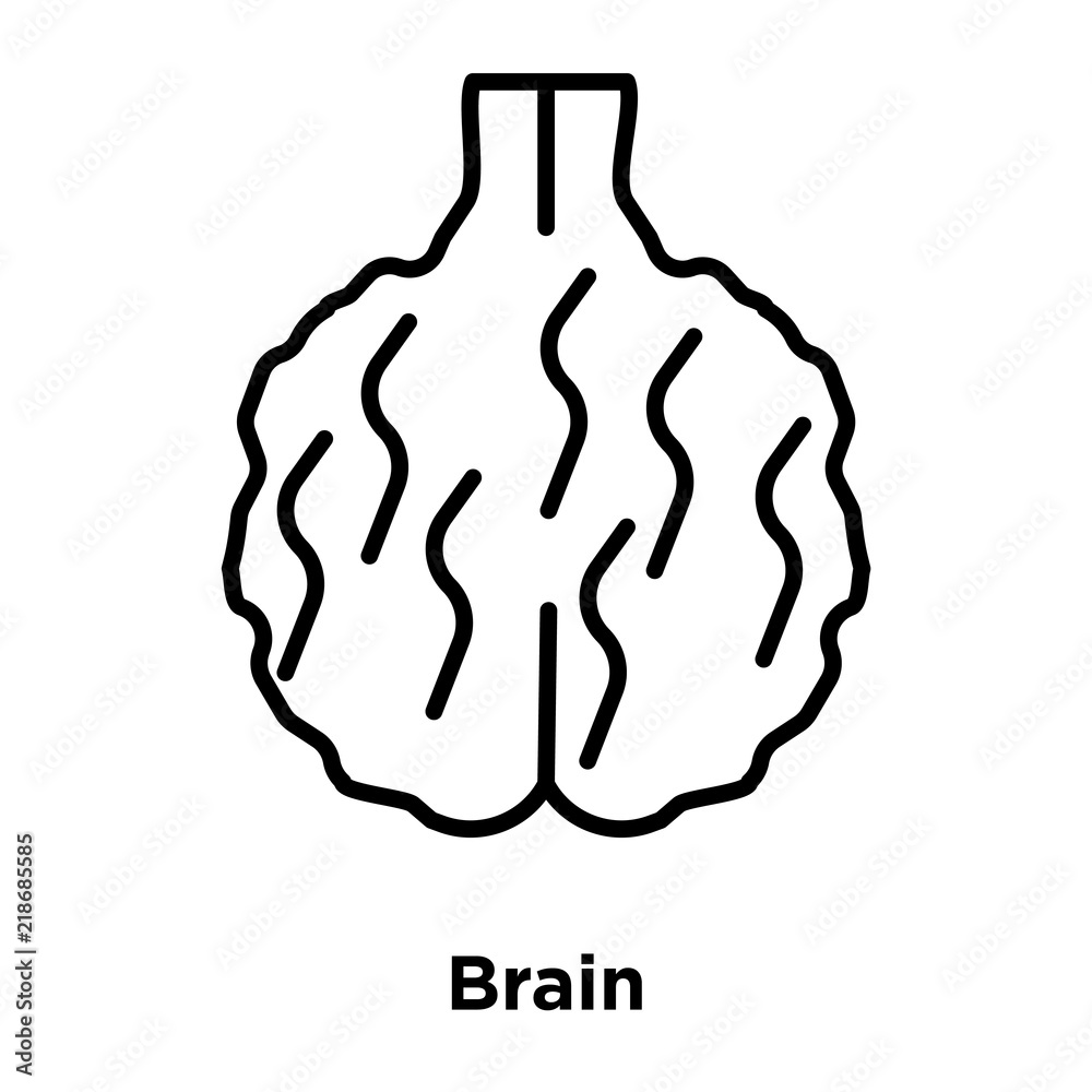 Sticker Brain icon vector isolated on white background, Brain sign , thin line design elements in outline style - Stickers