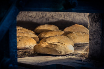 Elaboration of bread in traditional wood oven