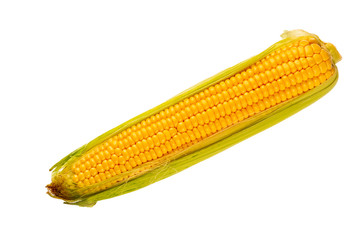 fresh ripe corn on white background, object isolated, close-up