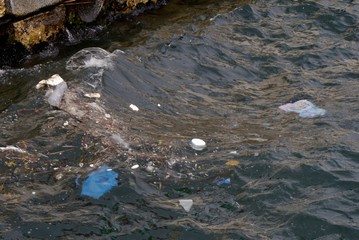 Plastikmüll im Meer