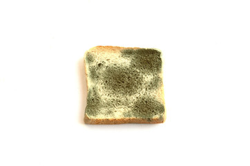 Mold growing rapidly on moldy bread  on white background..Scientists modify fungus found on bread into an anti-virus chemical.