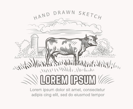Vector illustration of cow and farmland on background. Vector. Text outlined and only for preview. 