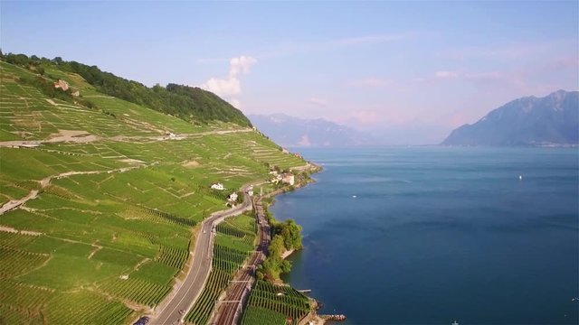 4K Aerial footage of Vineyard fields in Terrasses de Lavaux near Lausanne in Switzerland - UHD