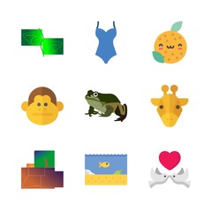 9 tropical icons set