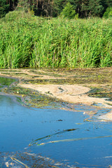 Water pollution. Environmental disaster. Place for your text