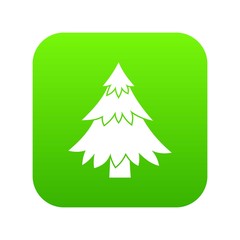 Coniferous tree icon digital green for any design isolated on white vector illustration