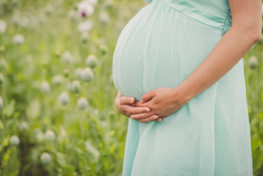 detail of pregnant woman stomac belly 