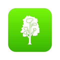 Tree icon digital green for any design isolated on white vector illustration