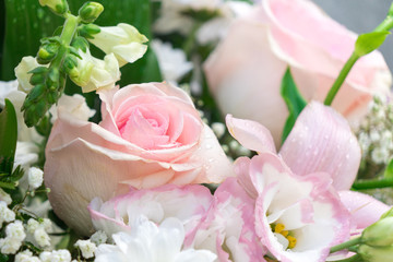 Bouquet of roses photographed close-up. Fresh flower.