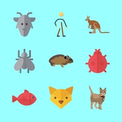 Obraz premium animal icons set. food, repellent, whole and ladybird graphic works