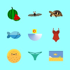 tropical vector icons set. melon, swimsuit, bat and turtle in this set