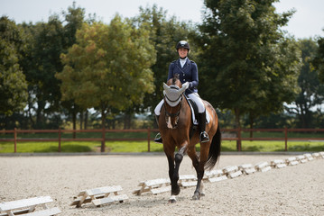 Eine Reiterin galoppiert auf einem Dressur Turnier frontal auf dem Reitplatz der Kamera entgegen