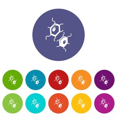 Bird flu virus icons color set vector for any web design on white background