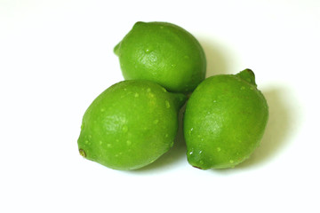 Limes 6