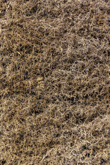 detail of  Salt production and air improvement