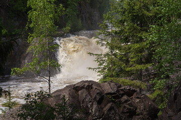 Stormy waterfall in a dense forest
