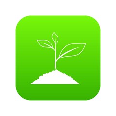 Growing plant icon digital green for any design isolated on white vector illustration