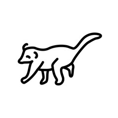 Coati icon vector isolated on white background, Coati sign