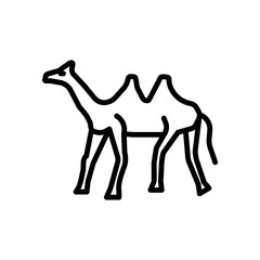 dromedary icon on white background. Modern icons vector illustration. Trendy dromedary icons
