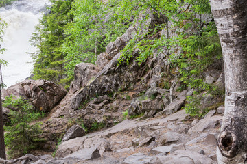 Stormy waterfall in a dense forest