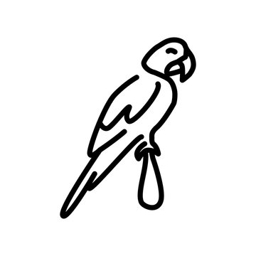 recommend clip art: Macaw icon vector isolated on white background, Macaw sign