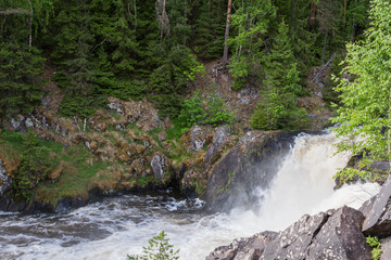 Stormy waterfall in a dense forest