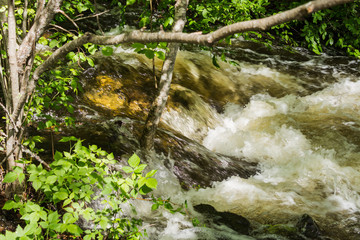 Stormy waterfall in a dense forest