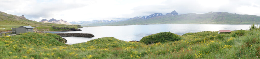 Fototapeta na wymiar Landschaft am Hafen von Bakkagerði mit Papageientauchern / Ostfjorde - Island