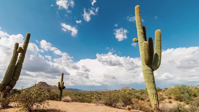 Scottsdale Arizona desert time lapse video with cactus at Browns Ranch trail