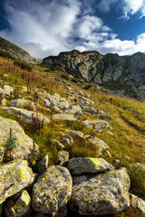 Mountain range landscape