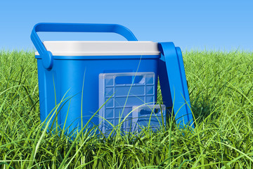 Portable Cool Box on the green grass against blue sky, 3D rendering