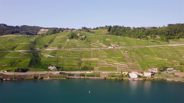 4K Aerial footage of Vineyard fields in Terrasses de Lavaux near Lausanne in Switzerland - UHD