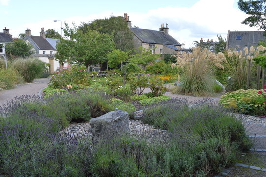 Aberdour Old School Sensory Garden, Aberdour, Fife, Scotland, with plants designed to stimulate all of the senses.