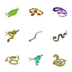 Rattlesnake icons set. Cartoon set of 9 rattlesnake vector icons for web isolated on white background