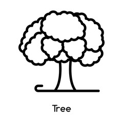 Tree icon vector isolated on white background, Tree sign , line or linear design elements in outline style
